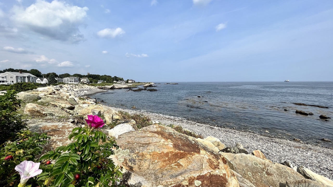 Photo of Others in Rye