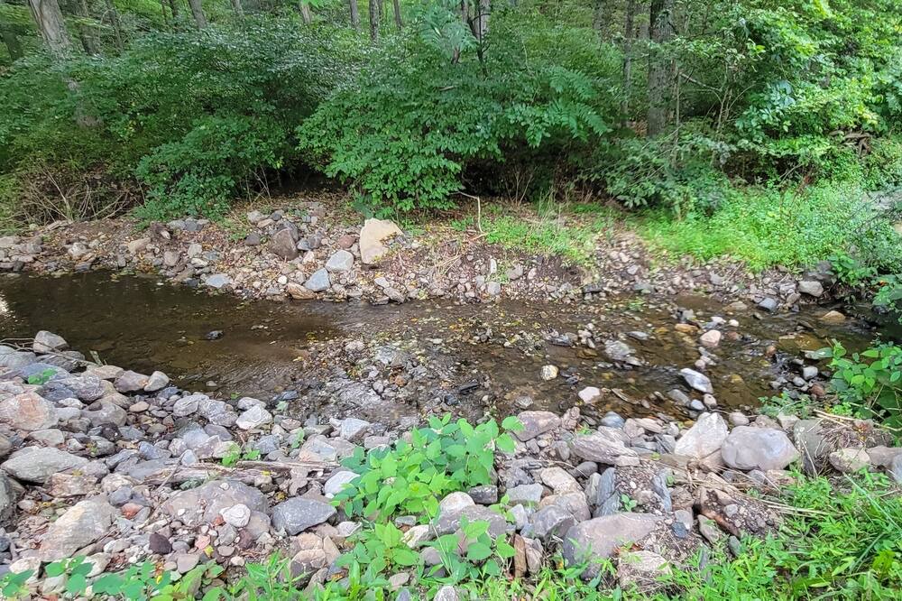 Photo of Outdoor in South Britain
