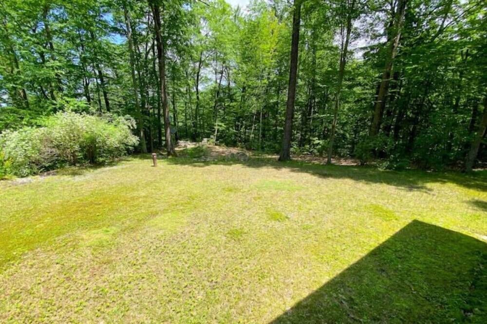 Photo of Outdoor in Forest Dale