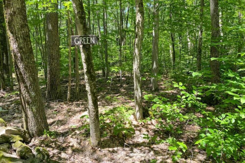 Photo of Outdoor in Forest Dale