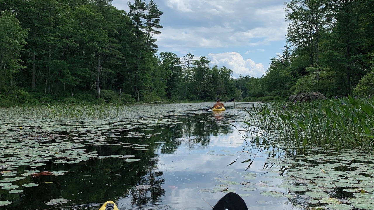 Photo of Others in Boscawen