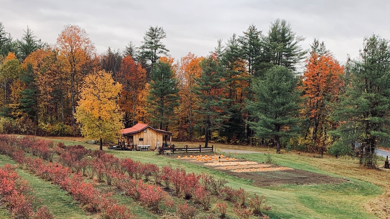 Photo of Outdoor in Boscawen