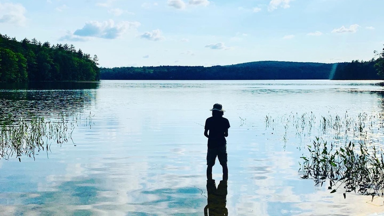 Photo of Others in Boscawen