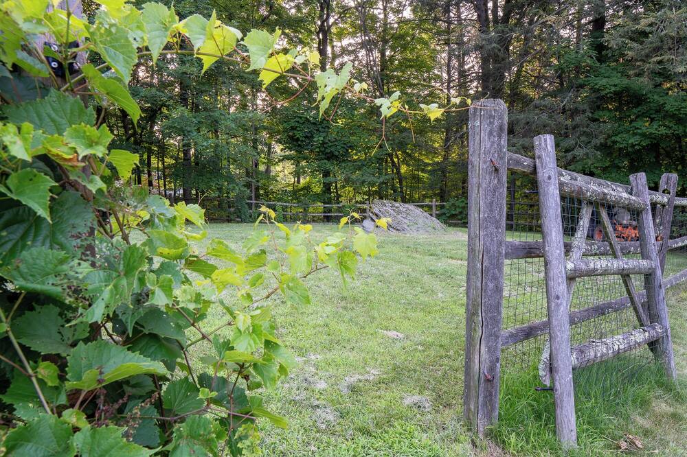 Photo of Outdoor in Rhinebeck