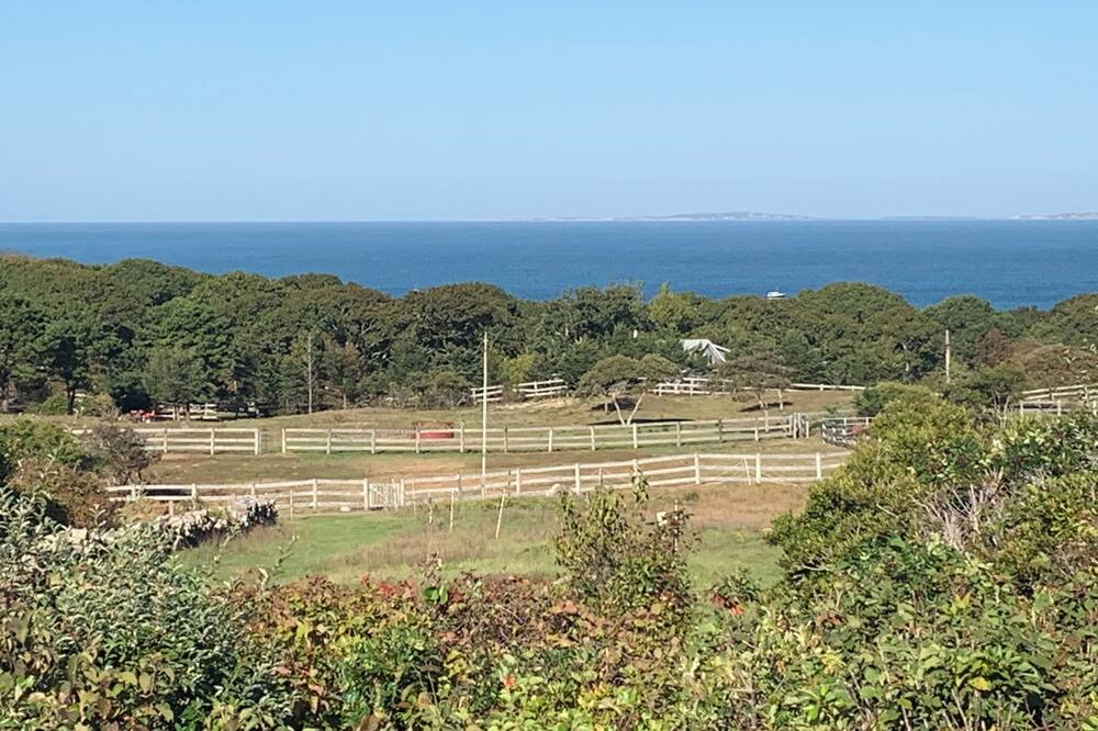 Photo of Others in Menemsha