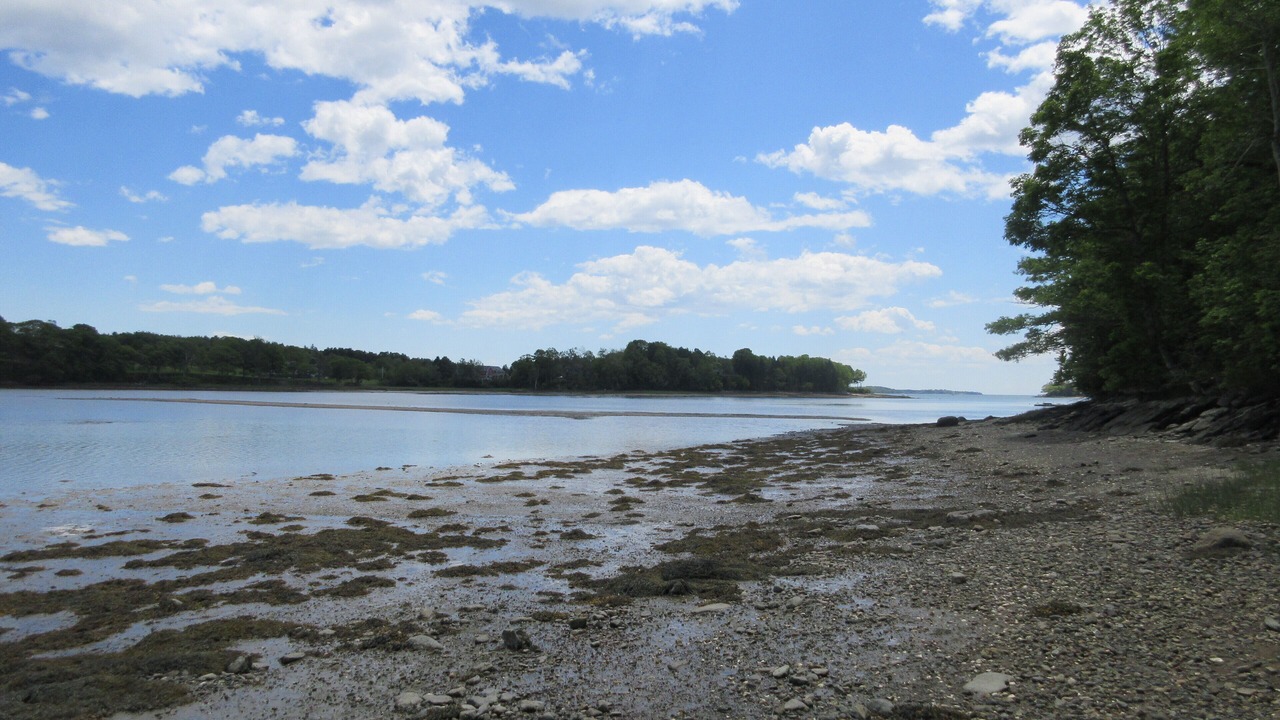 Photo of Others in Harpswell