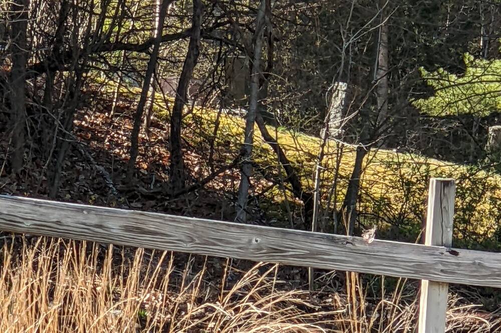 Photo of Others in Hillsboro