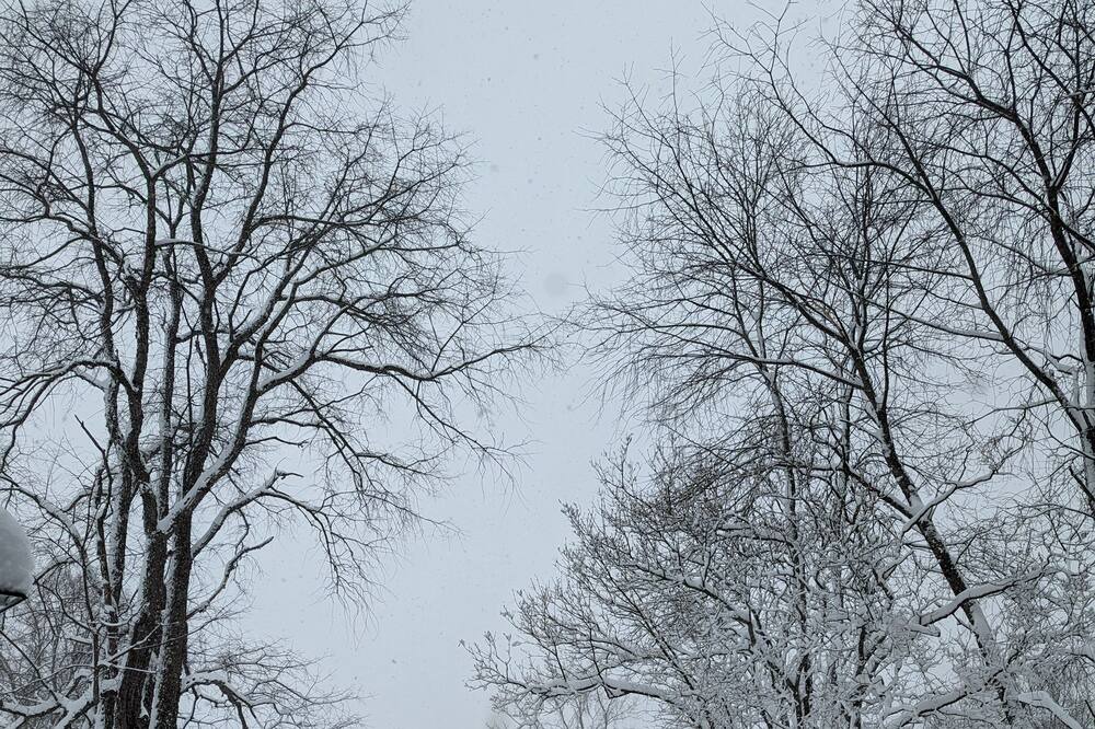Photo of Others in Hillsboro