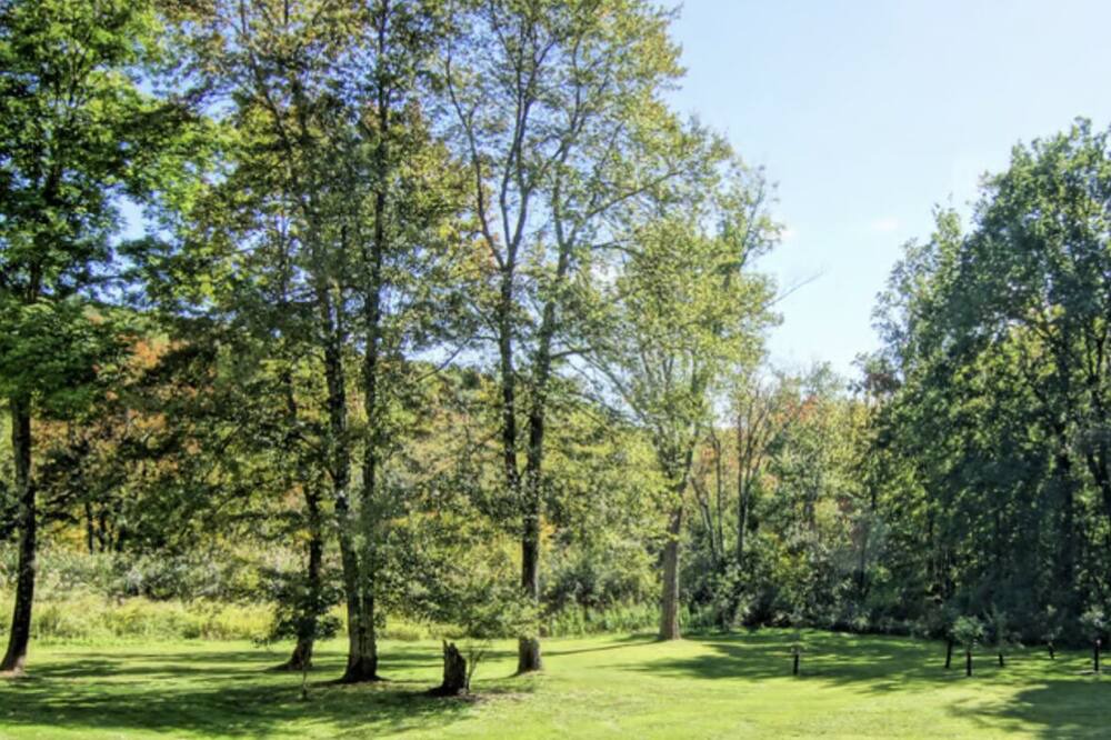 Photo of Others in South Kent