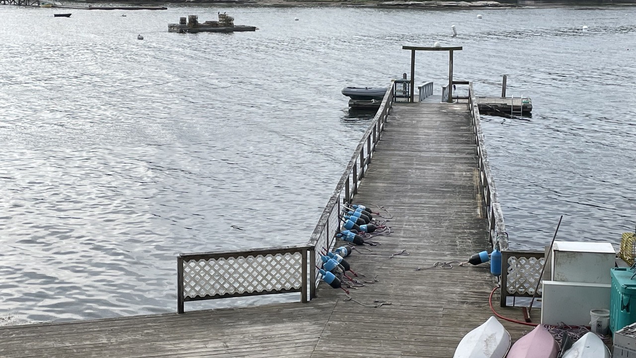 Photo of Others in Bayville