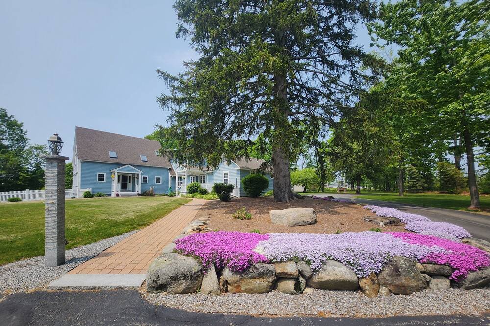 Photo of Outdoor in Dunbarton