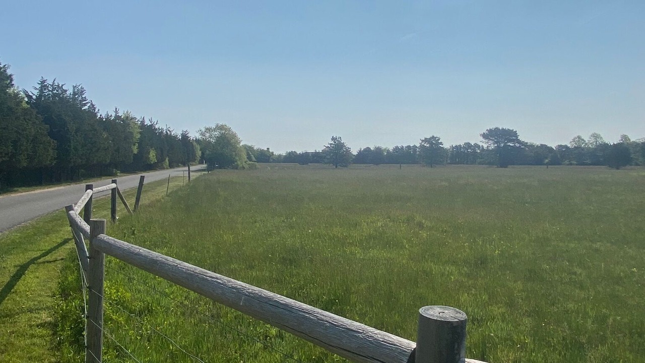 Photo of Outdoor in West Tisbury