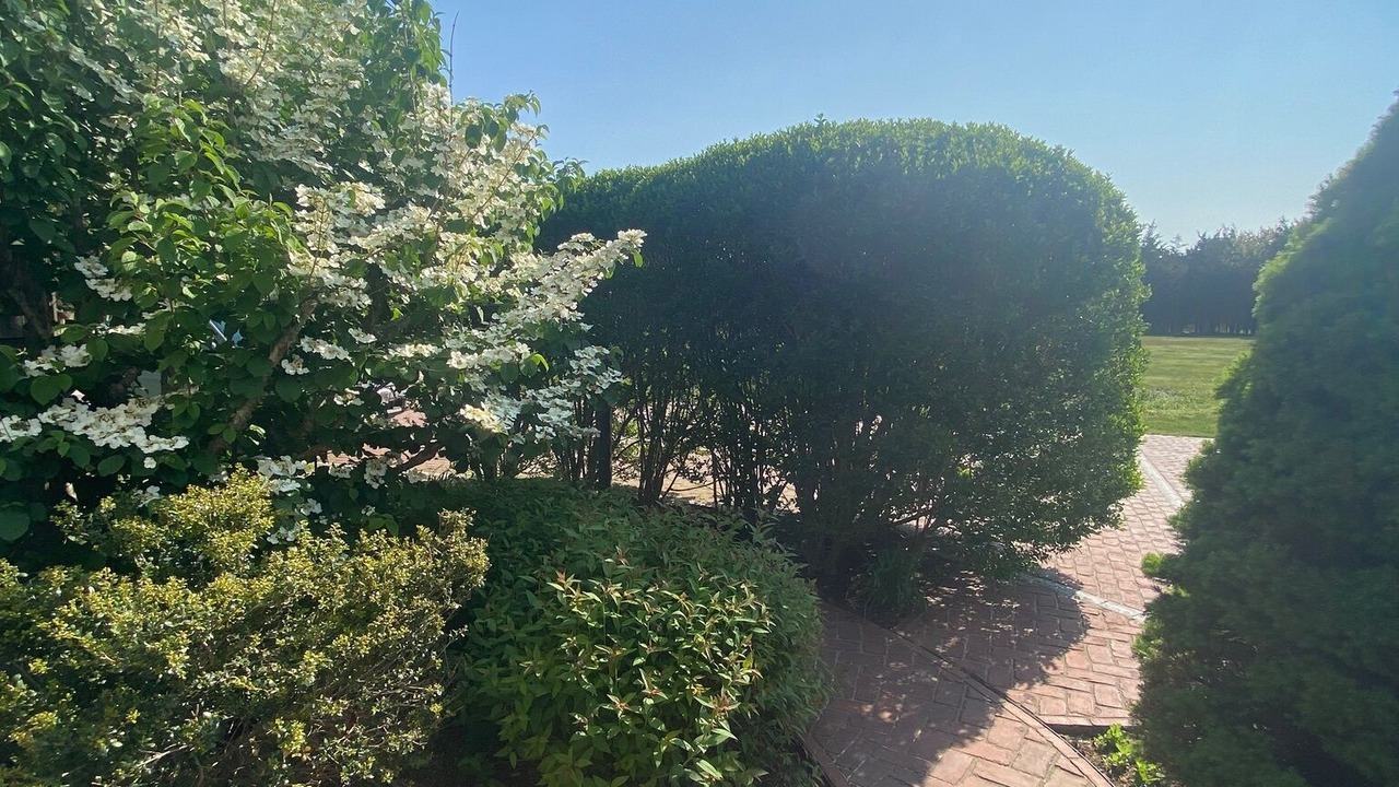 Photo of Outdoor in West Tisbury