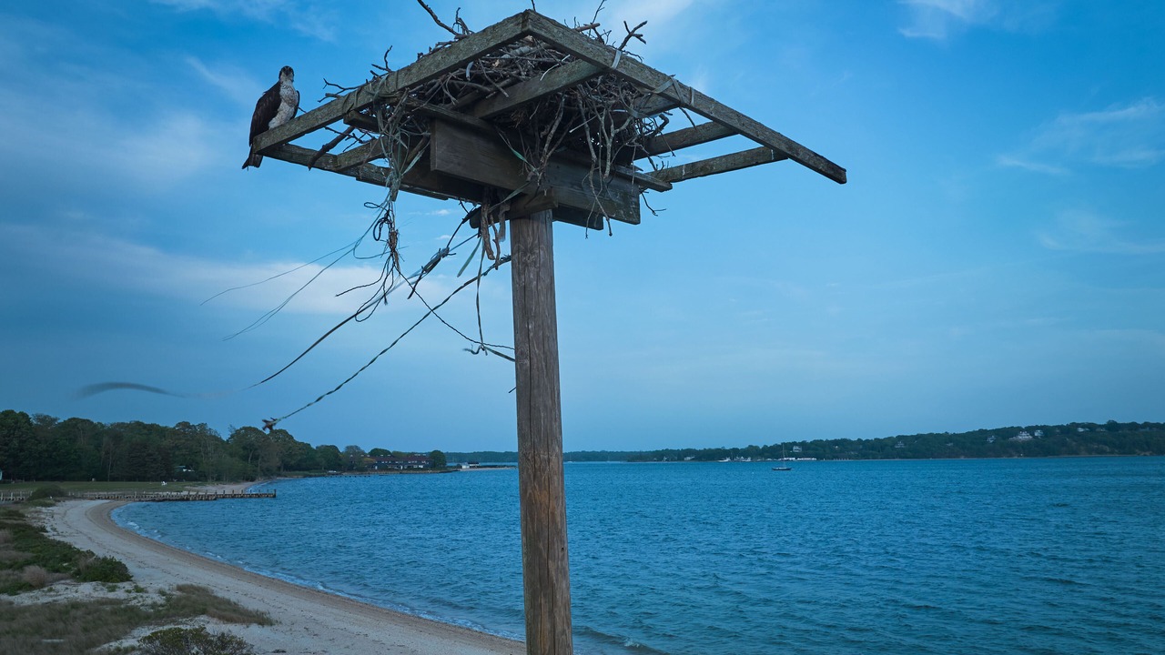 Photo of Others in Greenport West