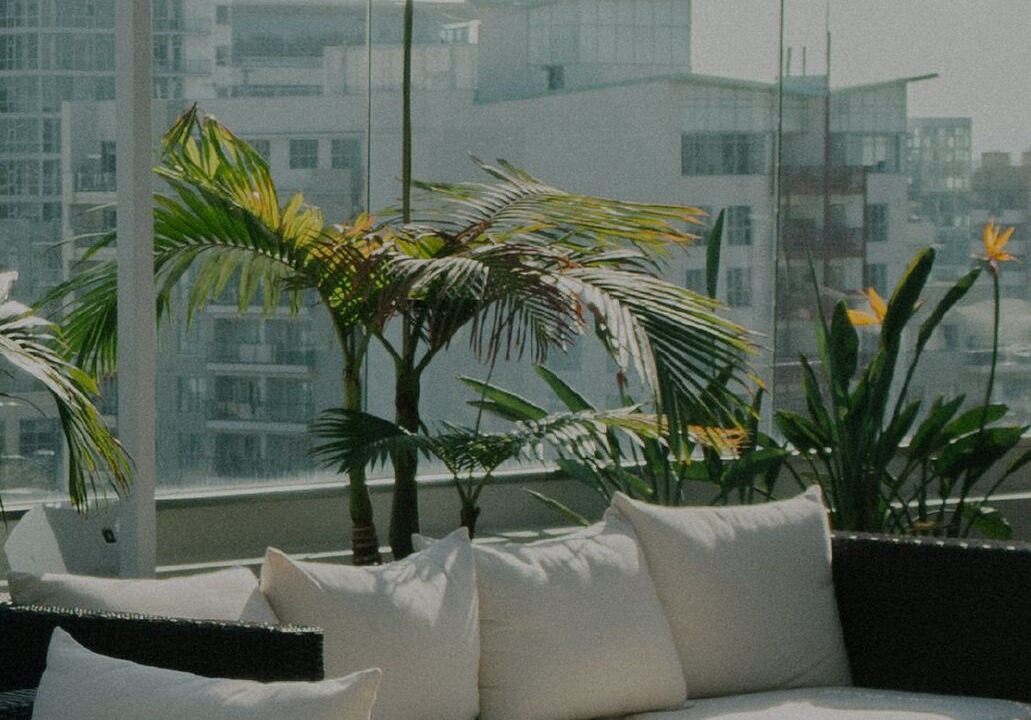 Photo of Outdoor in St. Elizabeth's