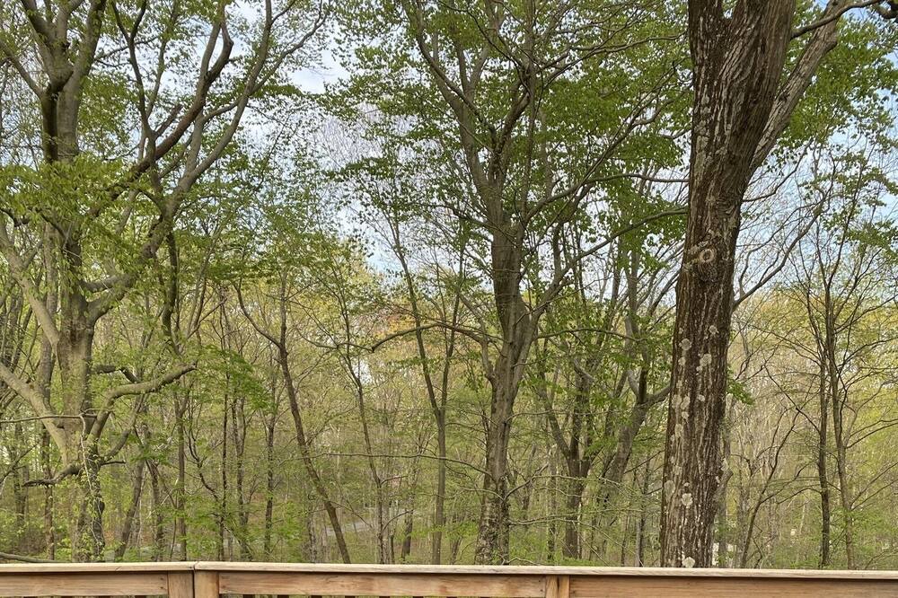 Photo of Outdoor in Lewisboro