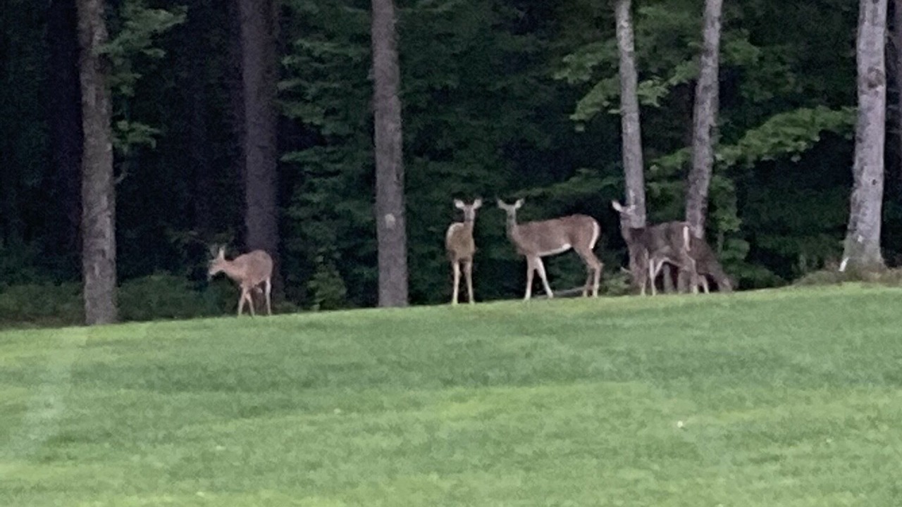 Photo of Others in Pownal