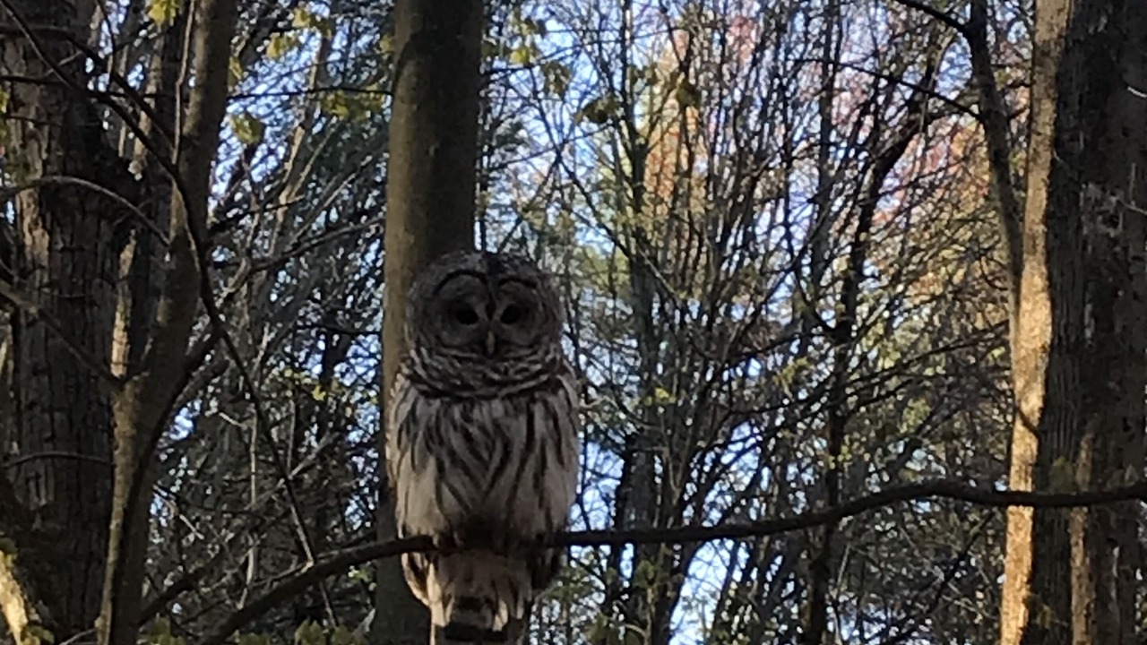 Photo of Others in Pownal