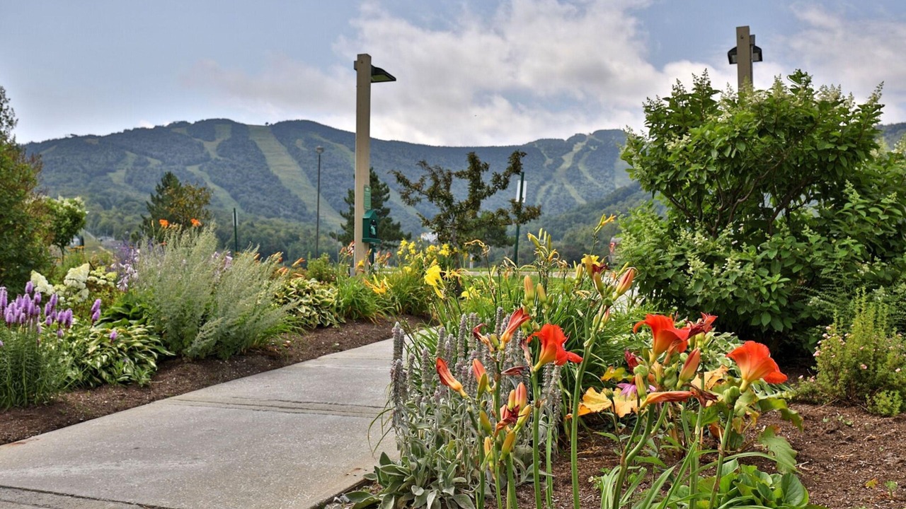Photo of Outdoor in Killington