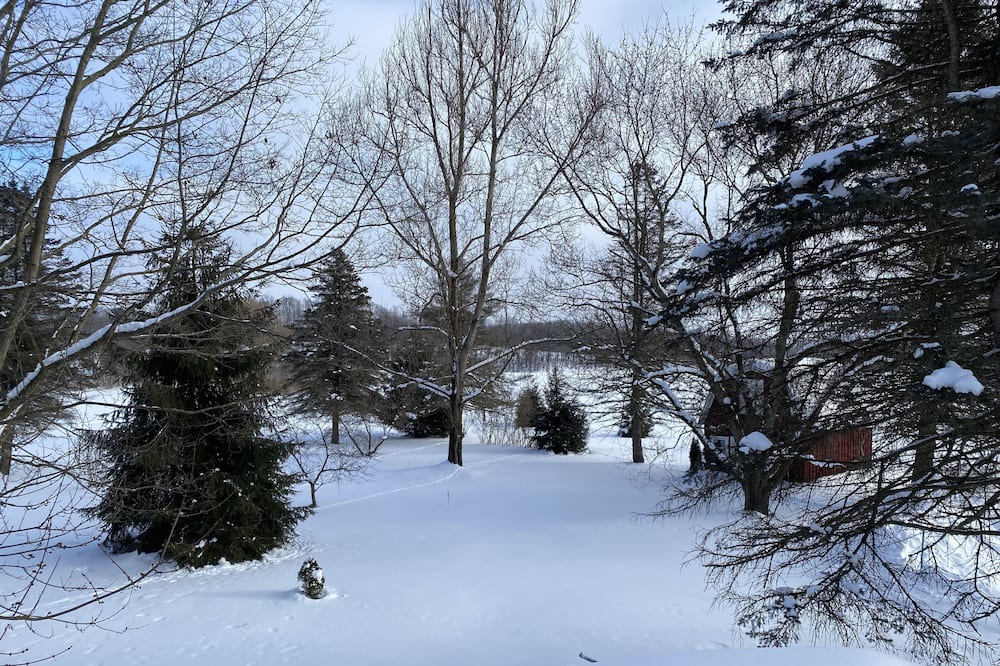 Photo of Outdoor in French Creek