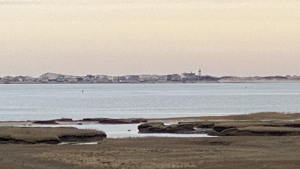 Photo of Others in Barnstable