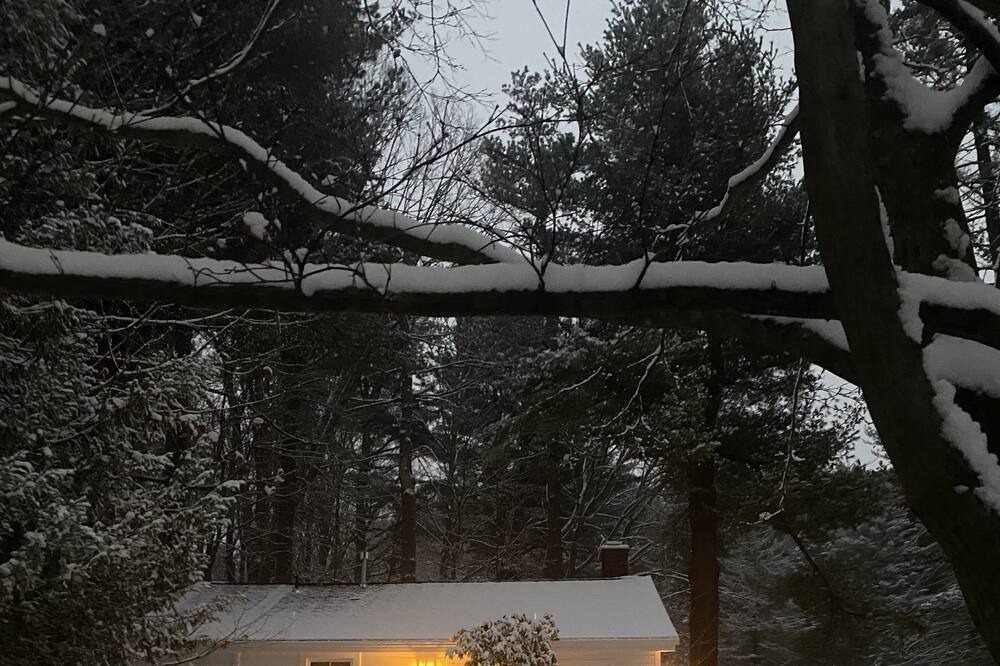 Photo of Outdoor in Copake Lake