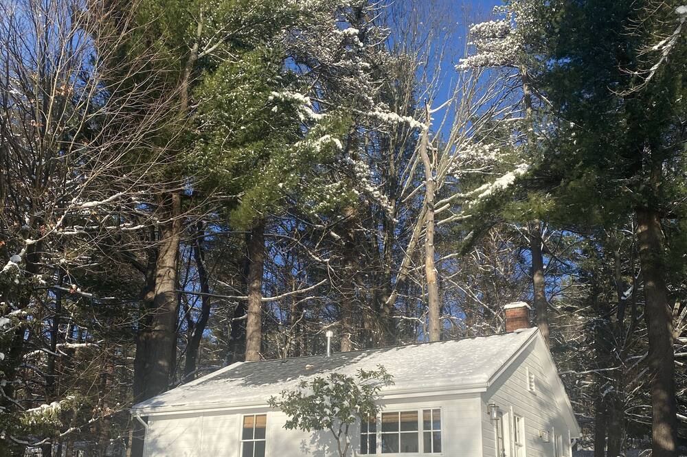 Photo of Others in Copake Lake