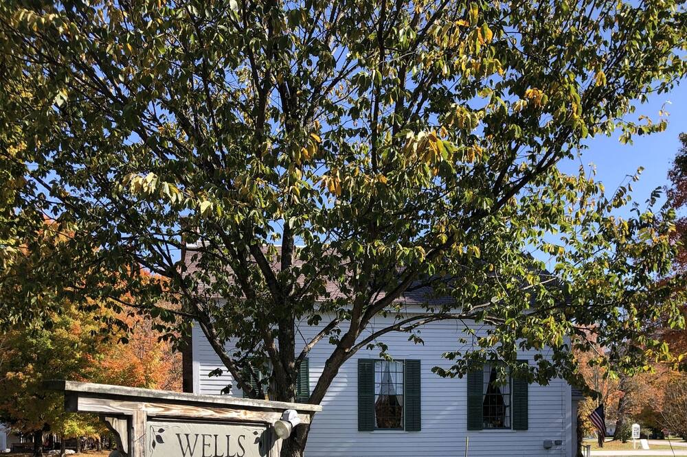Photo of Others in Wells