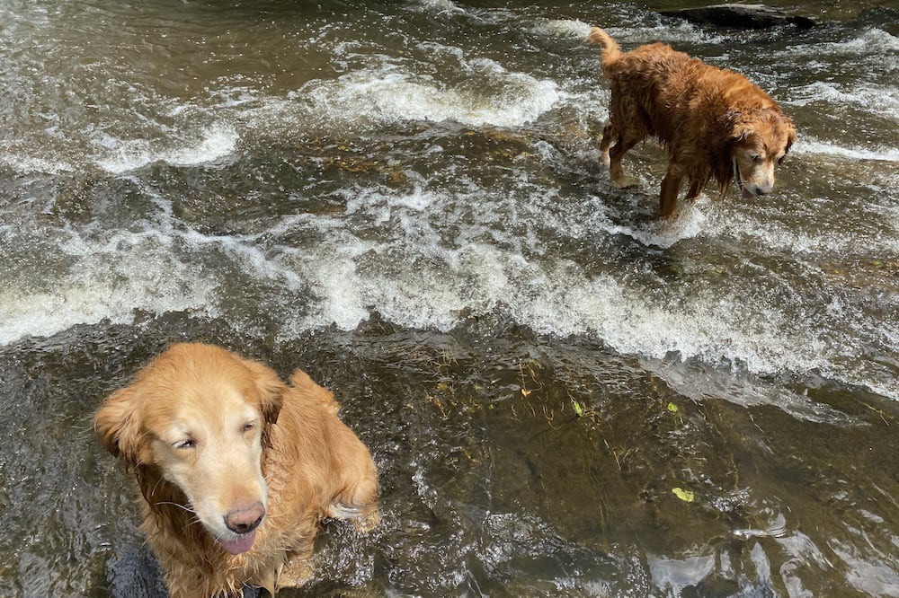 Photo of Outdoor in Schuyler Falls