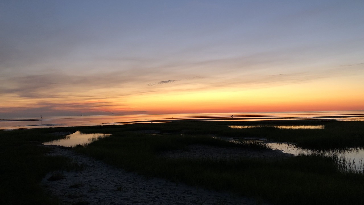 Photo of Others in Eastham