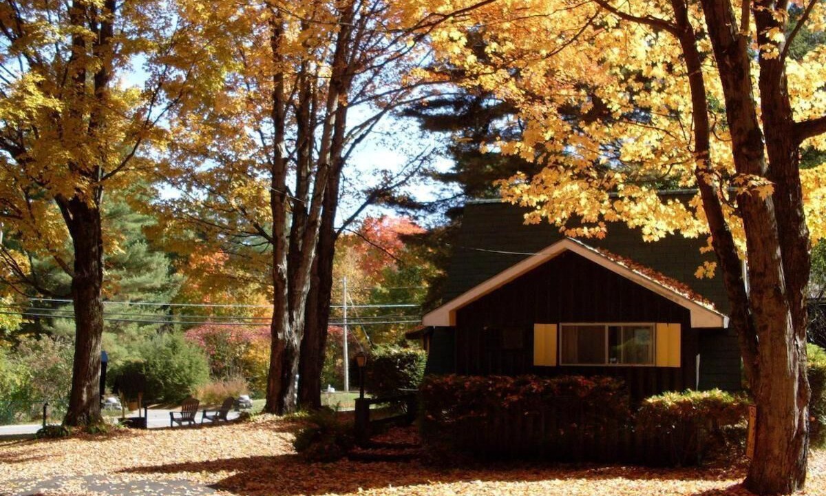 Photo of Outdoor in Lake George