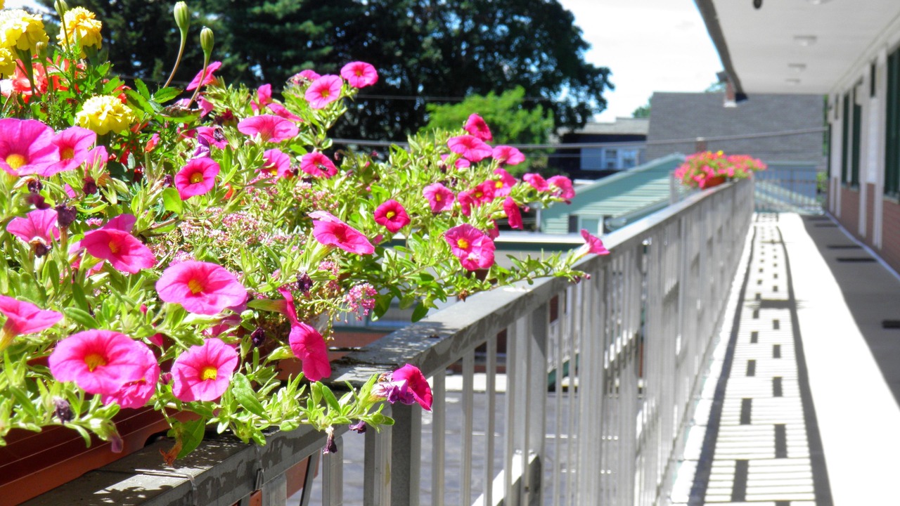 Photo of Outdoor in Brunswick