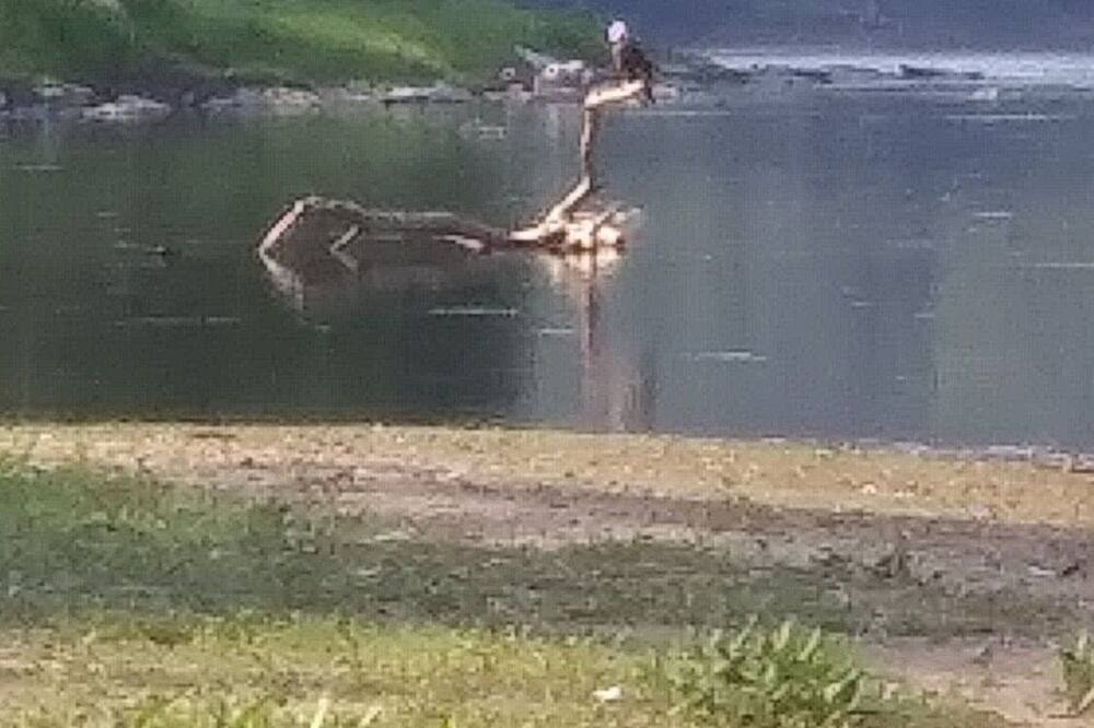 Photo of Others in Rowland