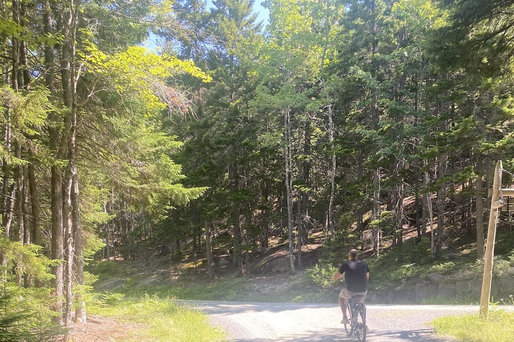 Photo of Outdoor in Seal Harbor