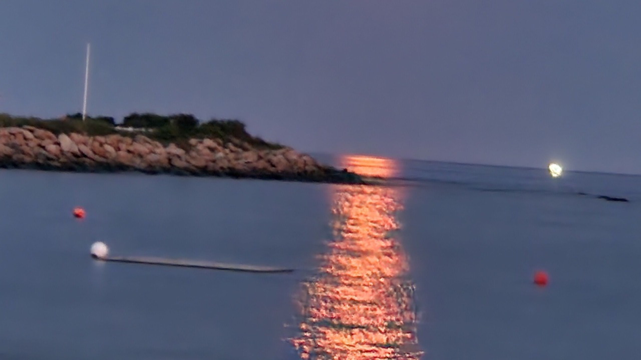 Photo of Others in Old Lyme