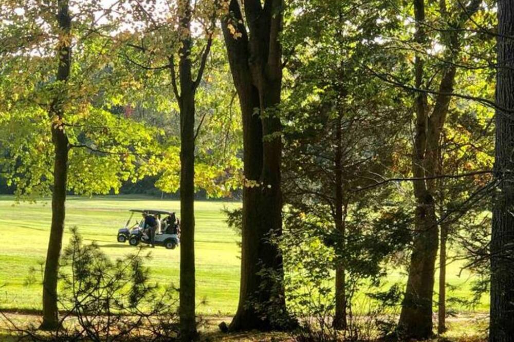 Photo of Outdoor in Norwich