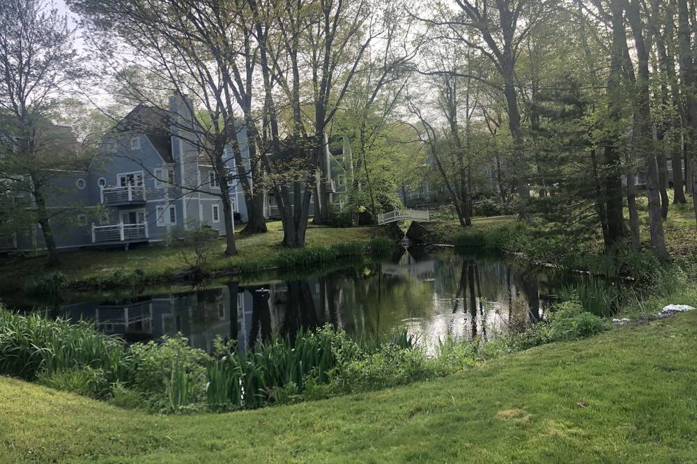 Photo of Outdoor in Norwich