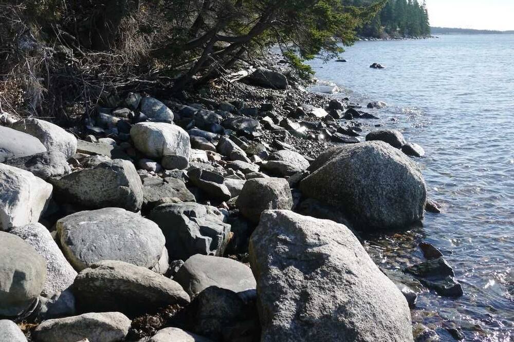Photo of Others in Bass Harbor