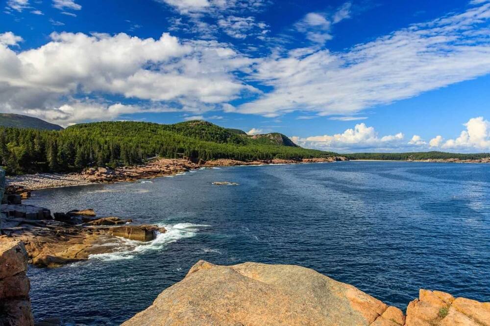 Photo of Others in Bass Harbor