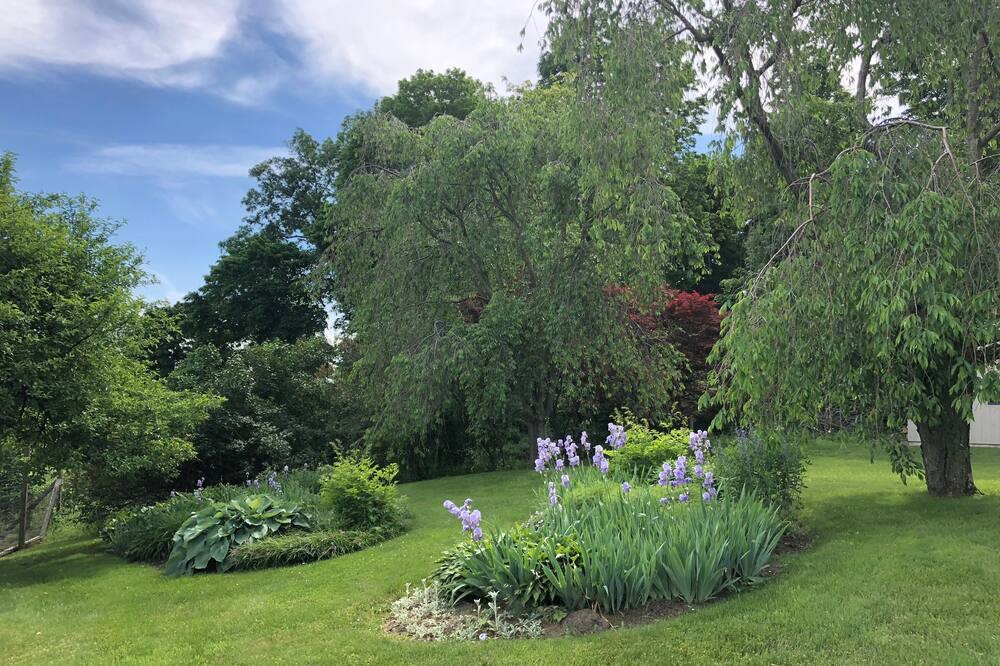 Photo of Outdoor in Town of Copake