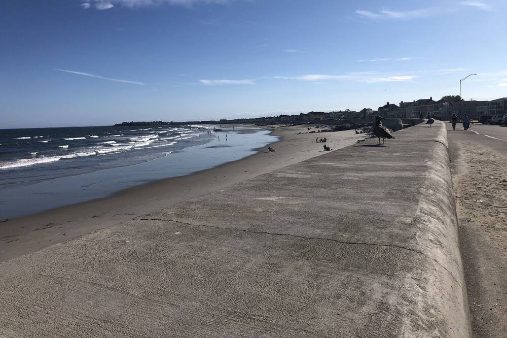 Photo of Others in Hampton