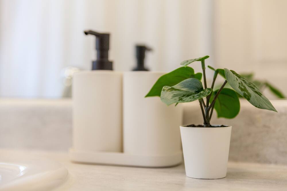 Photo of Bathroom in Caledonia