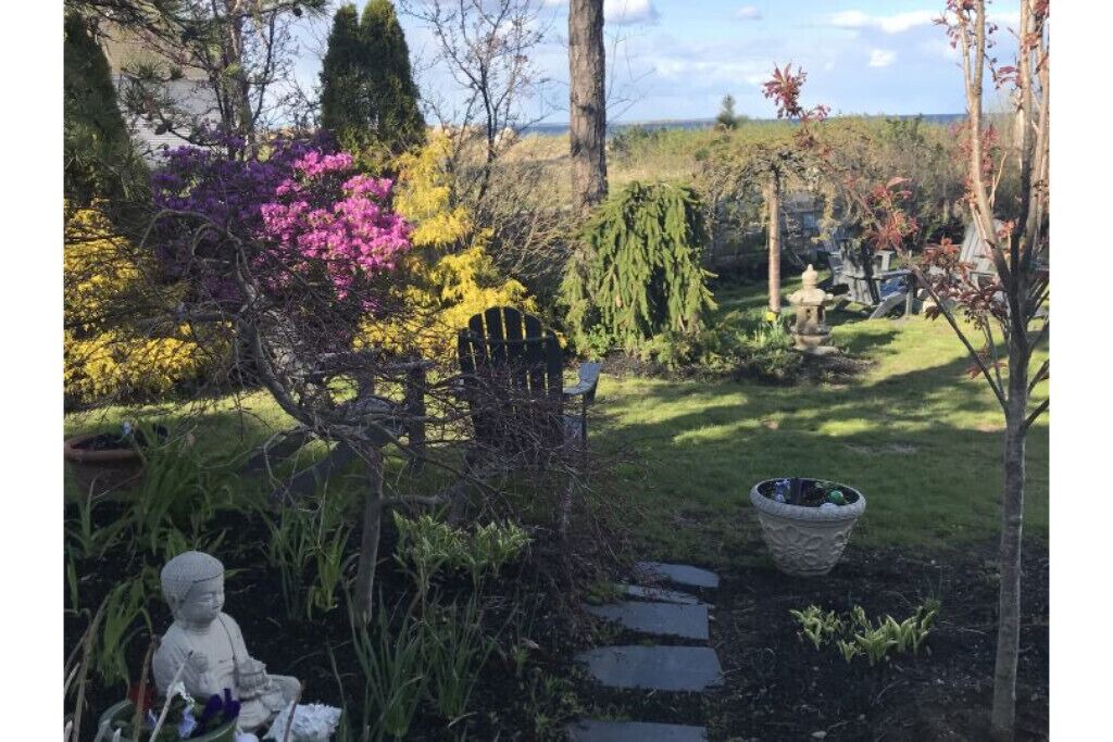 Photo of Outdoor in Camp Ellis