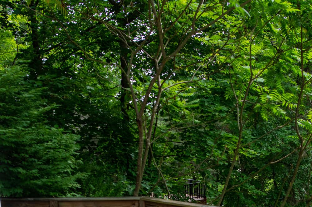 Photo of Outdoor in Lee