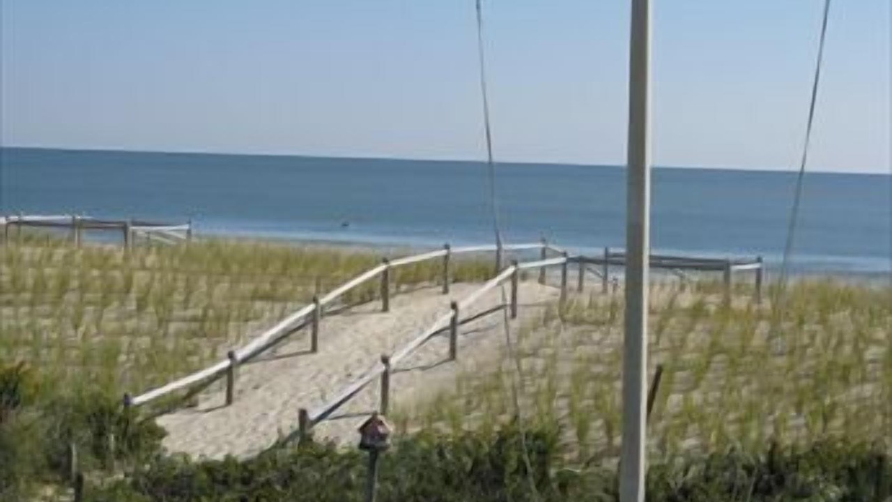 Photo of Others in Harvey Cedars