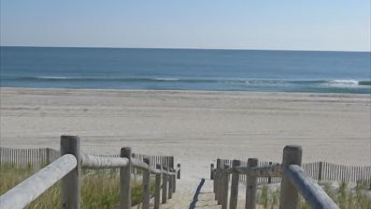 Photo of Others in Harvey Cedars
