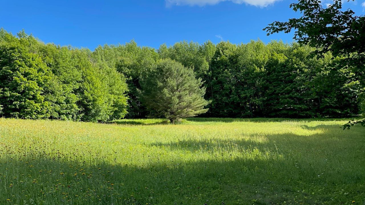 Photo of Outdoor in Jefferson
