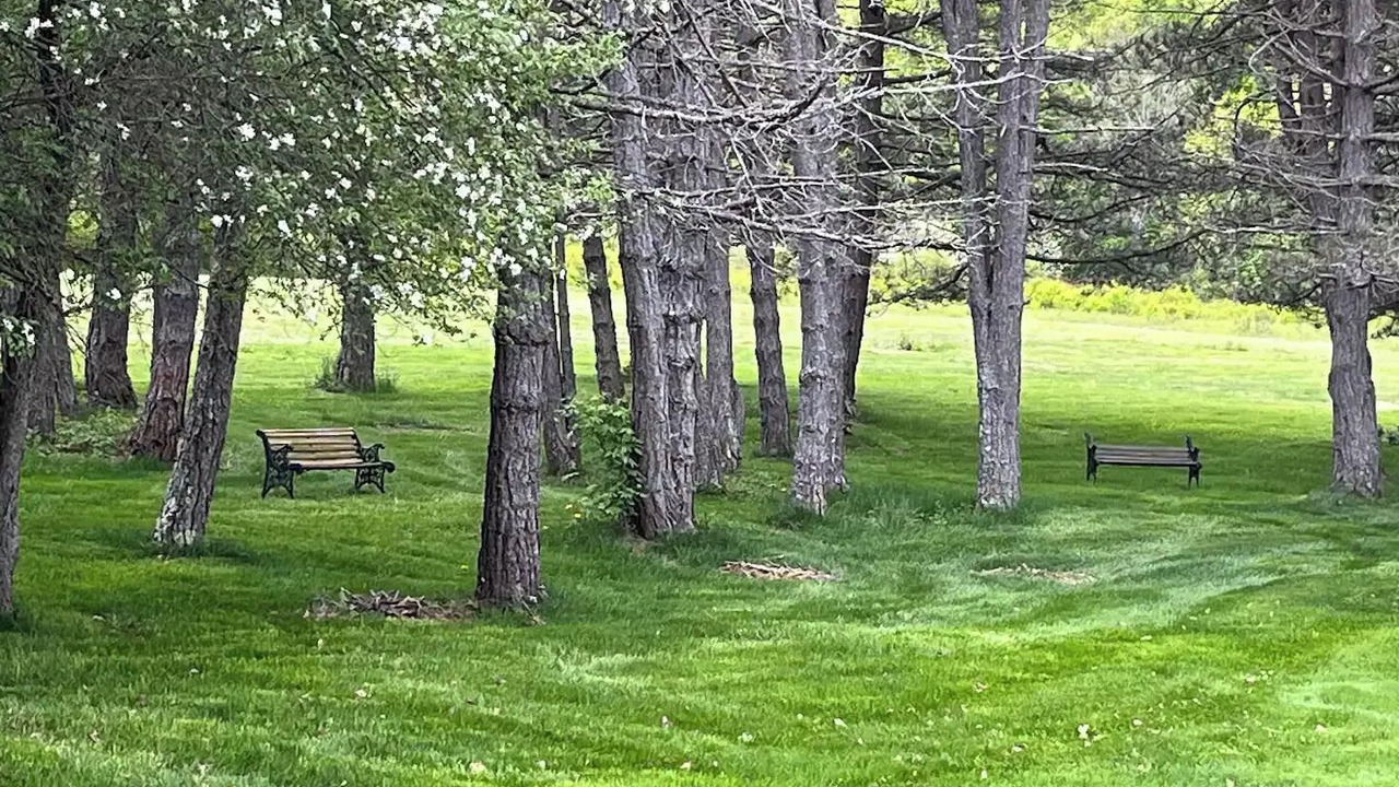 Photo of Others in Jefferson