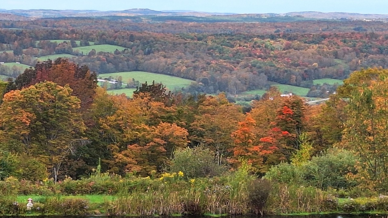 Photo of Outdoor in Jefferson