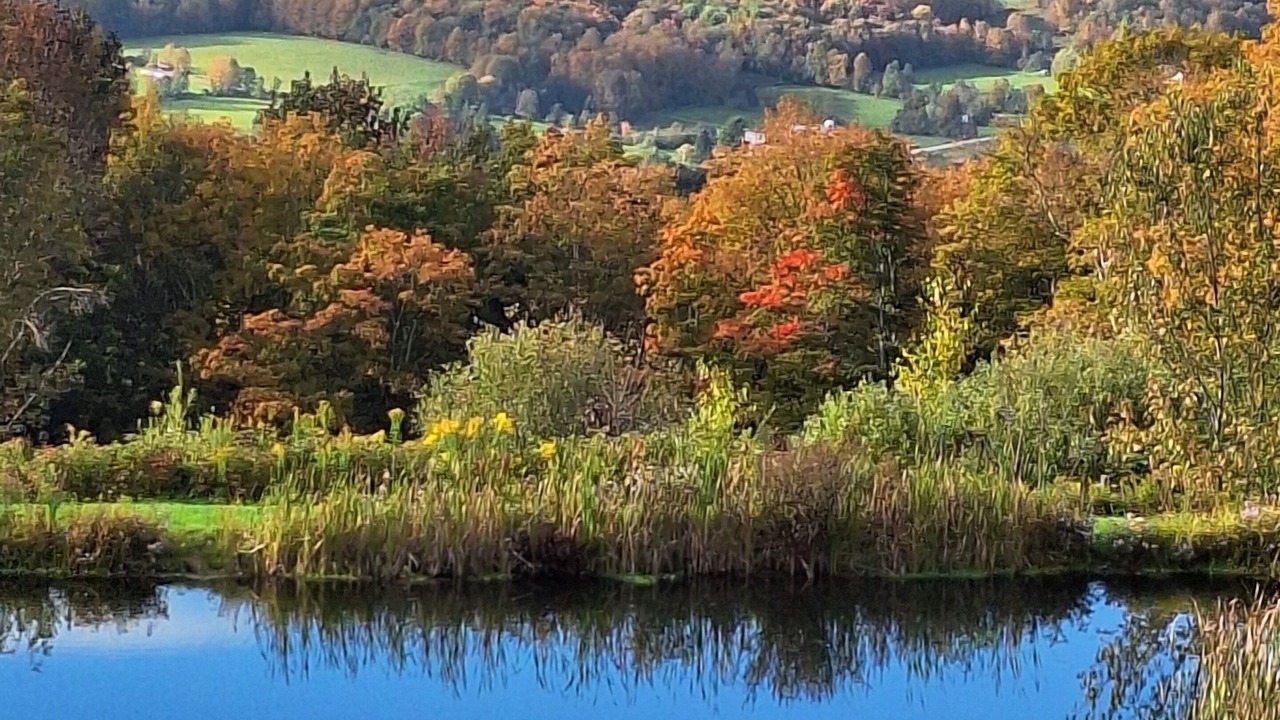 Photo of Outdoor in Jefferson